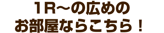 広めのお部屋や1LDK、2人暮らしなどにおすすめ!